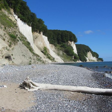 Ferienwohnung In Sassnitz Ruegen Naehe Weltnaturerbe Kreidekueste Dış mekan fotoğraf