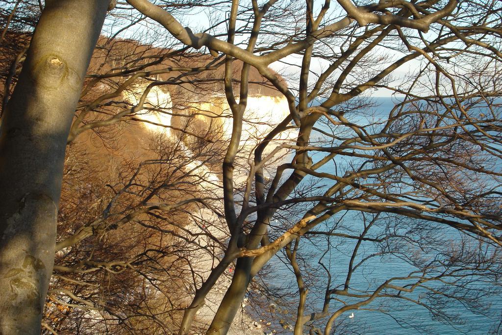 Ferienwohnung In Sassnitz Ruegen Naehe Weltnaturerbe Kreidekueste Dış mekan fotoğraf