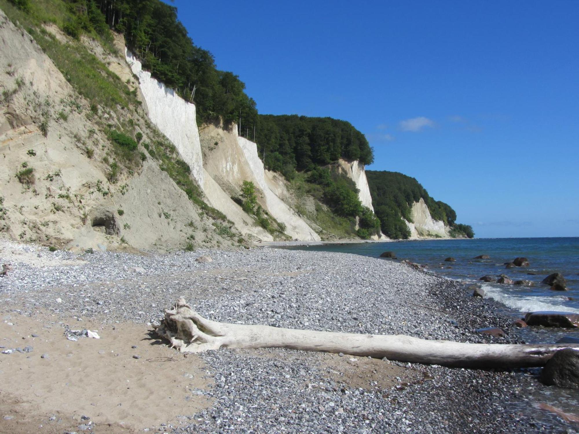 Ferienwohnung In Sassnitz Ruegen Naehe Weltnaturerbe Kreidekueste Dış mekan fotoğraf