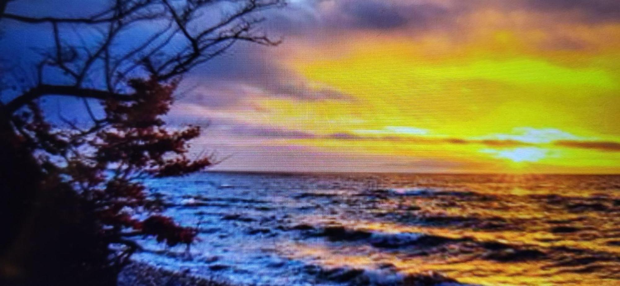 Ferienwohnung In Sassnitz Ruegen Naehe Weltnaturerbe Kreidekueste Dış mekan fotoğraf