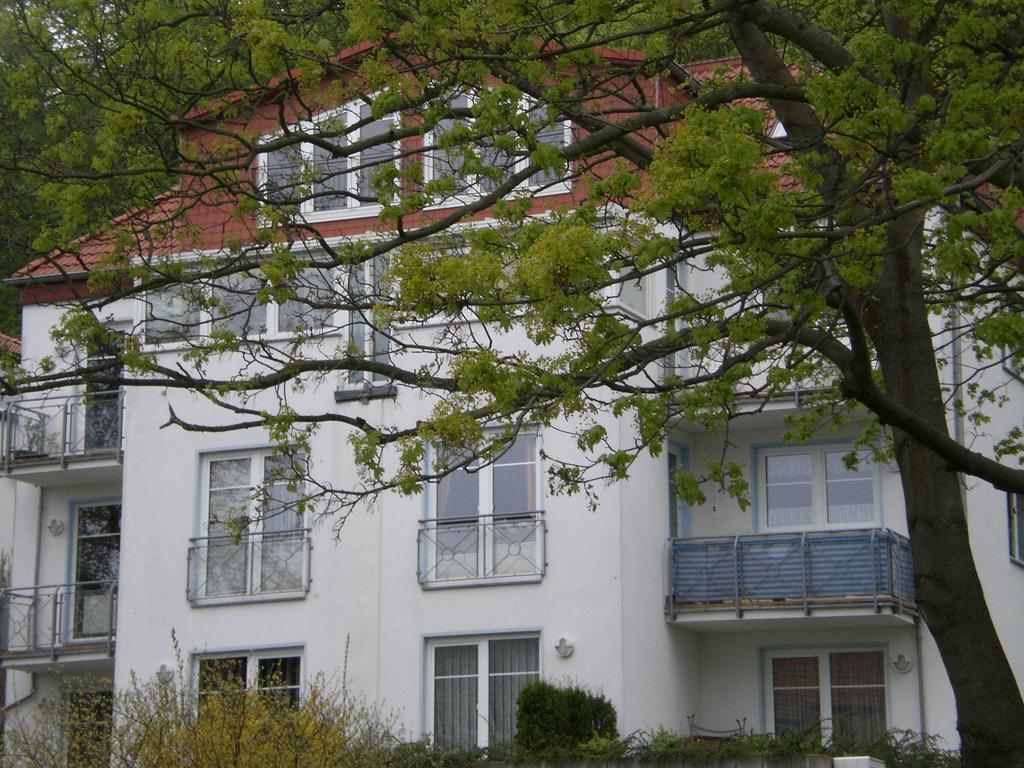 Ferienwohnung In Sassnitz Ruegen Naehe Weltnaturerbe Kreidekueste Dış mekan fotoğraf
