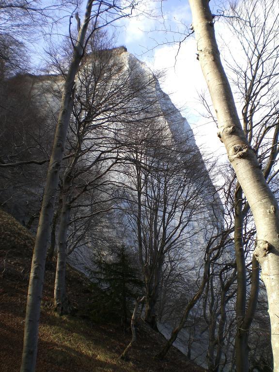 Ferienwohnung In Sassnitz Ruegen Naehe Weltnaturerbe Kreidekueste Dış mekan fotoğraf