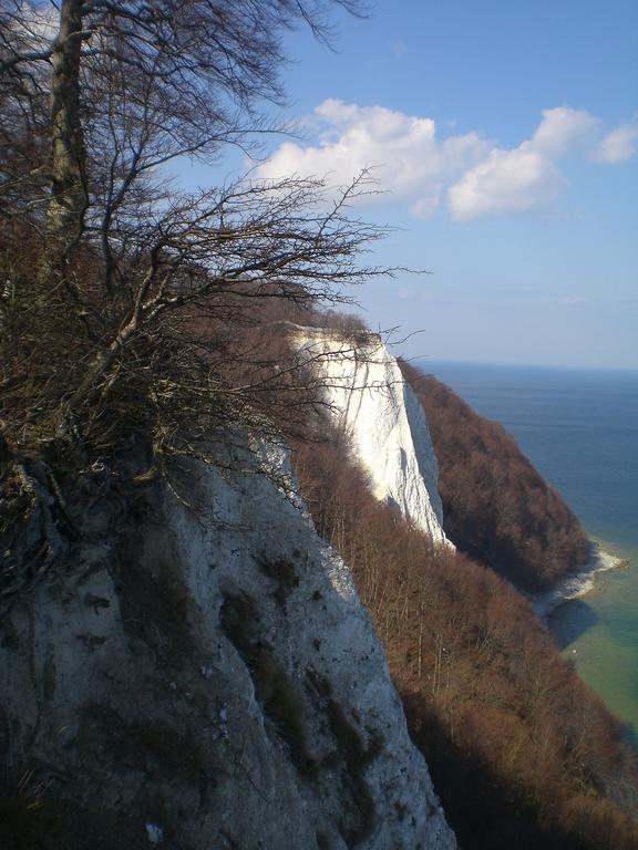 Ferienwohnung In Sassnitz Ruegen Naehe Weltnaturerbe Kreidekueste Dış mekan fotoğraf