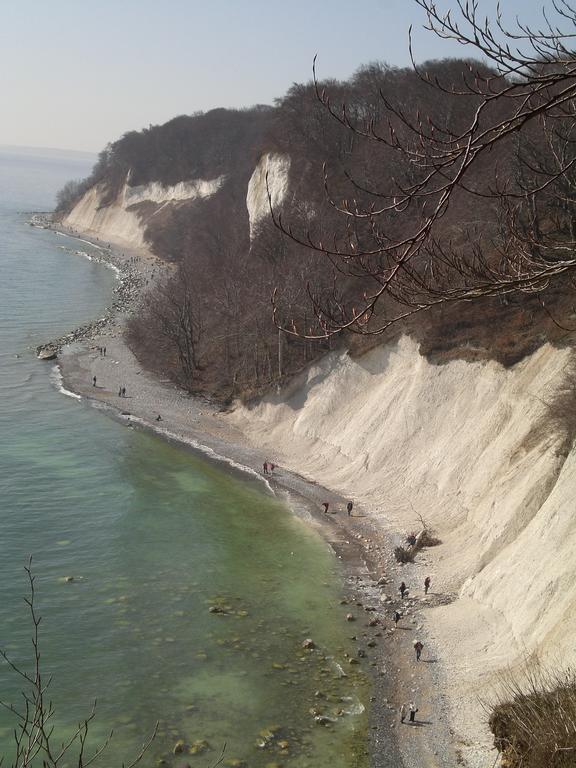 Ferienwohnung In Sassnitz Ruegen Naehe Weltnaturerbe Kreidekueste Dış mekan fotoğraf