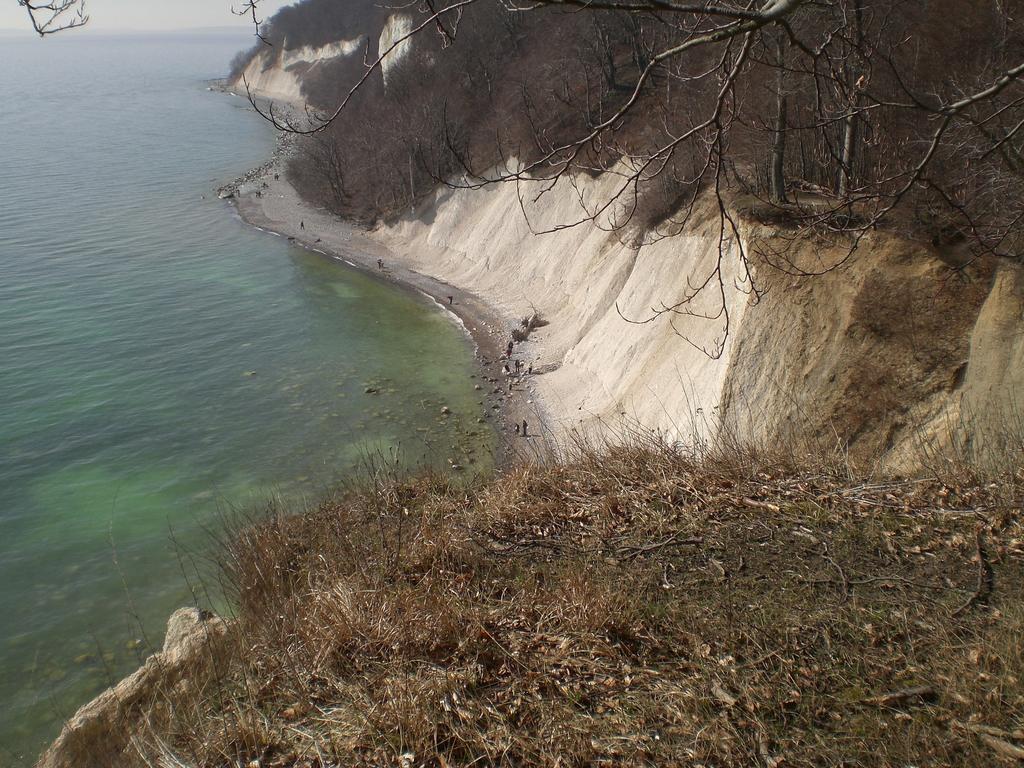 Ferienwohnung In Sassnitz Ruegen Naehe Weltnaturerbe Kreidekueste Dış mekan fotoğraf