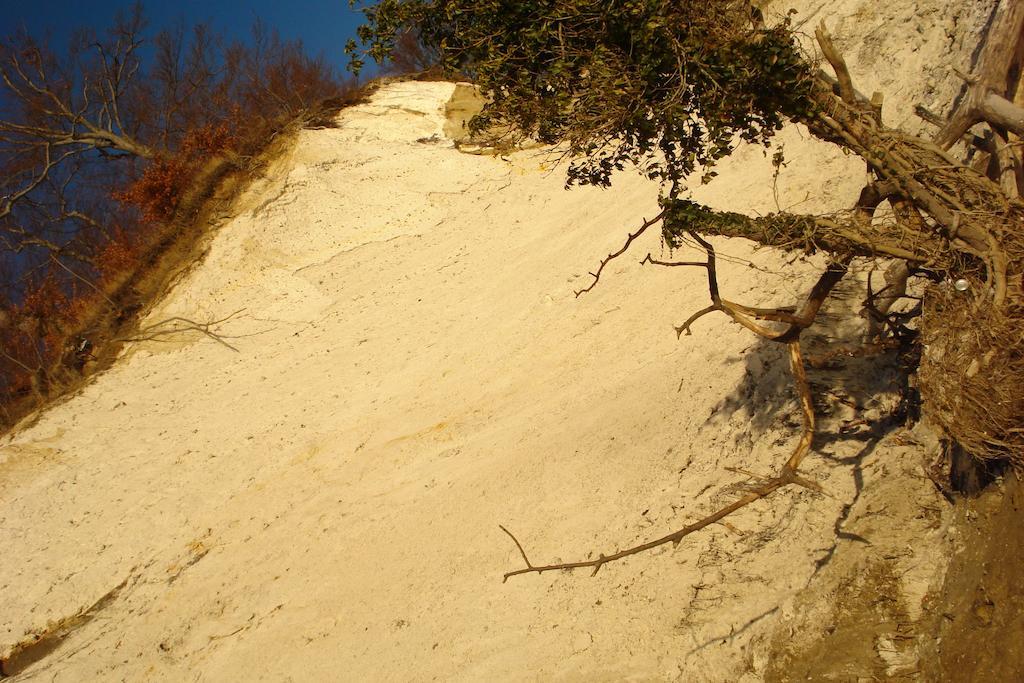 Ferienwohnung In Sassnitz Ruegen Naehe Weltnaturerbe Kreidekueste Dış mekan fotoğraf