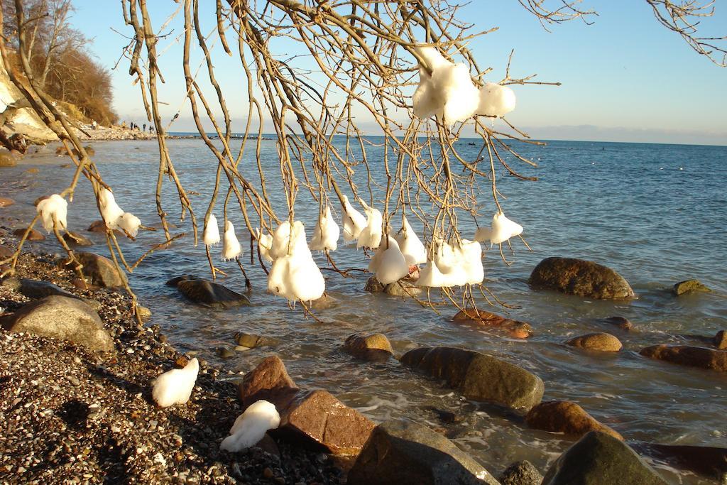 Ferienwohnung In Sassnitz Ruegen Naehe Weltnaturerbe Kreidekueste Dış mekan fotoğraf