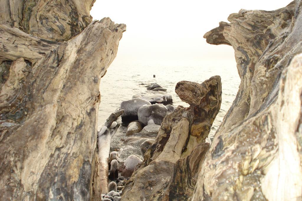 Ferienwohnung In Sassnitz Ruegen Naehe Weltnaturerbe Kreidekueste Dış mekan fotoğraf