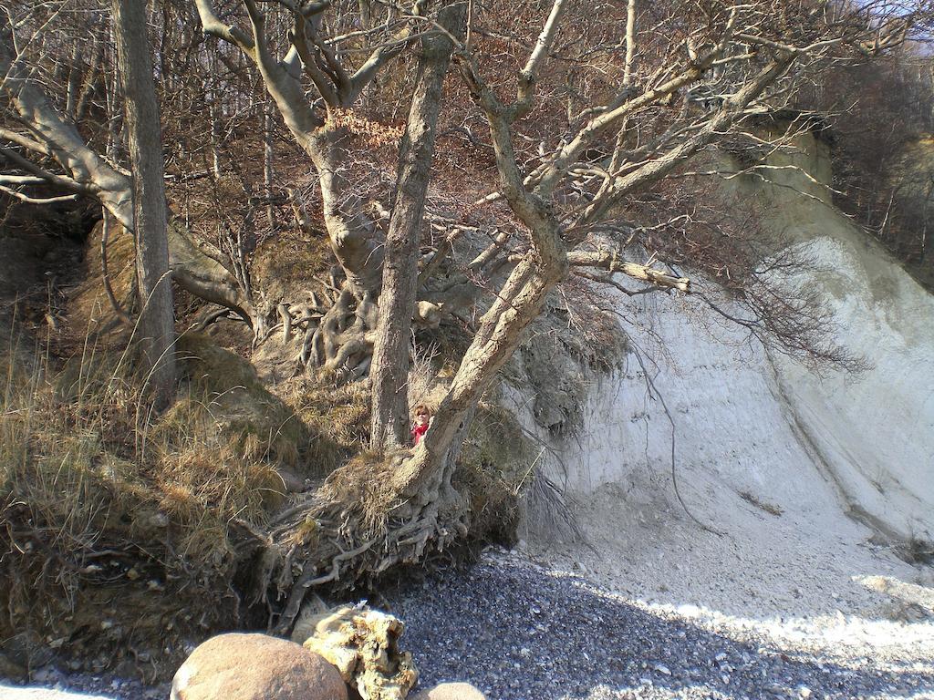 Ferienwohnung In Sassnitz Ruegen Naehe Weltnaturerbe Kreidekueste Dış mekan fotoğraf