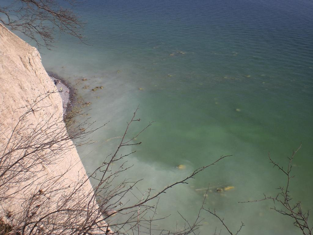 Ferienwohnung In Sassnitz Ruegen Naehe Weltnaturerbe Kreidekueste Dış mekan fotoğraf