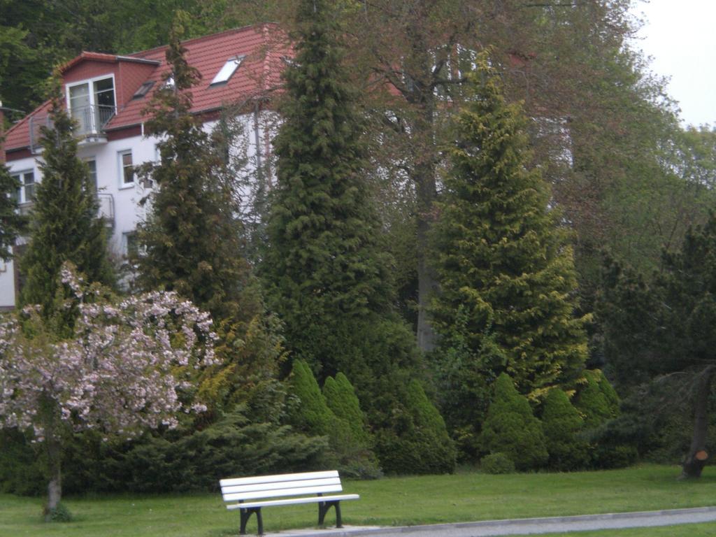 Ferienwohnung In Sassnitz Ruegen Naehe Weltnaturerbe Kreidekueste Dış mekan fotoğraf