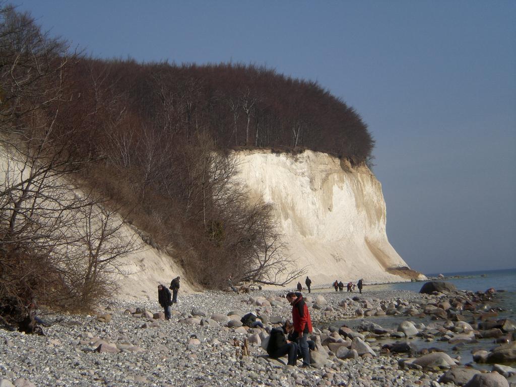 Ferienwohnung In Sassnitz Ruegen Naehe Weltnaturerbe Kreidekueste Dış mekan fotoğraf