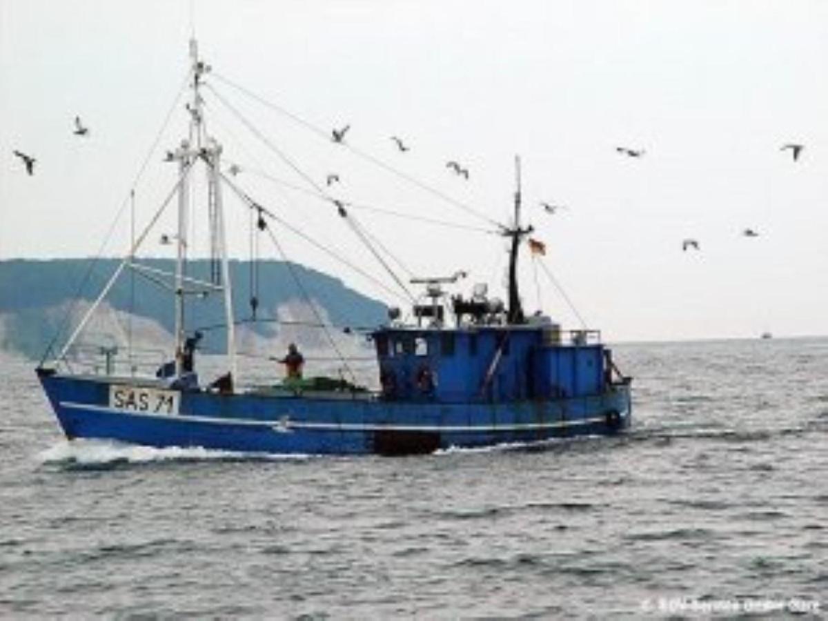 Ferienwohnung In Sassnitz Ruegen Naehe Weltnaturerbe Kreidekueste Dış mekan fotoğraf